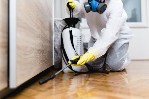 Wasp Removal Services in Anacoco, LA