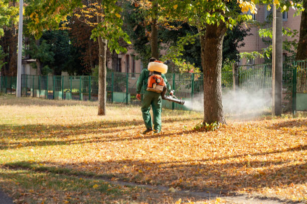 Best Affordable Pest Control Services  in Anacoco, LA